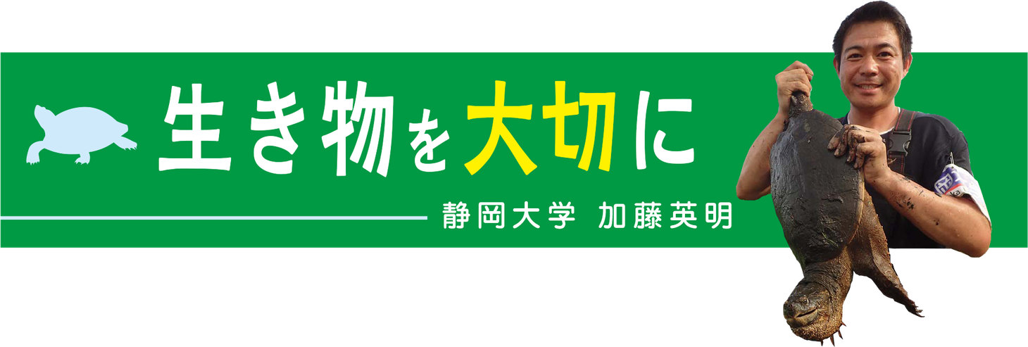 生き物を大切にバナー