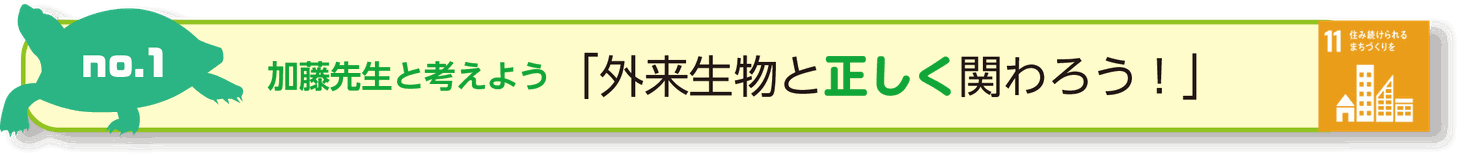 No1