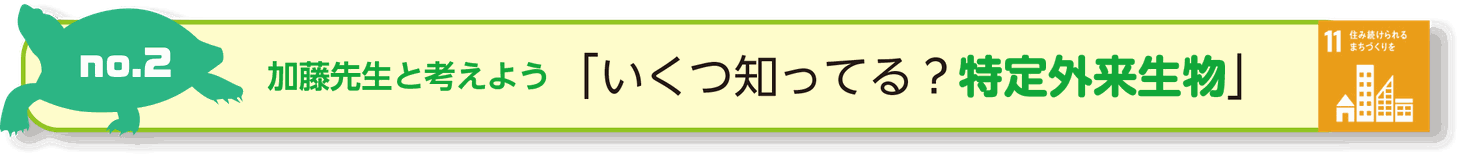 No2