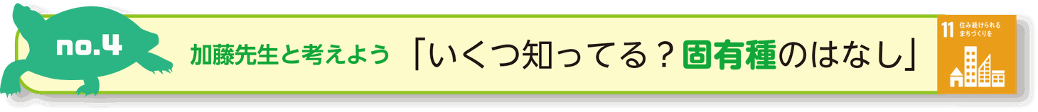 No4