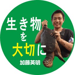 生き物を大切にの画像