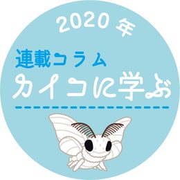 育てよう、科学の芽の画像